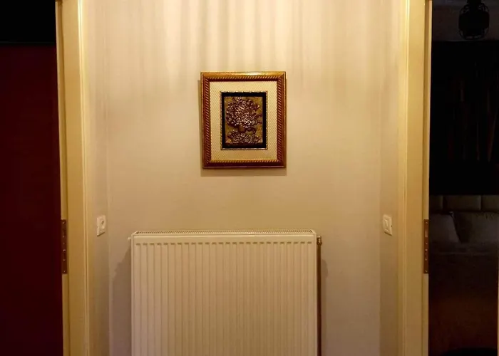 Hotel Bujtina Argis