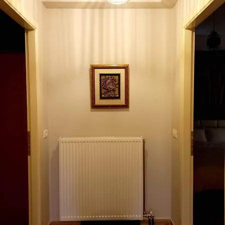 Hotel Bujtina Argis